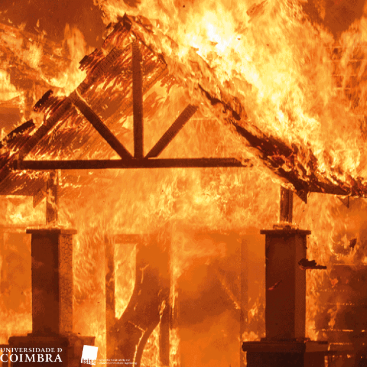 Structures in fire 2024